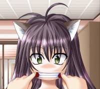 55434
